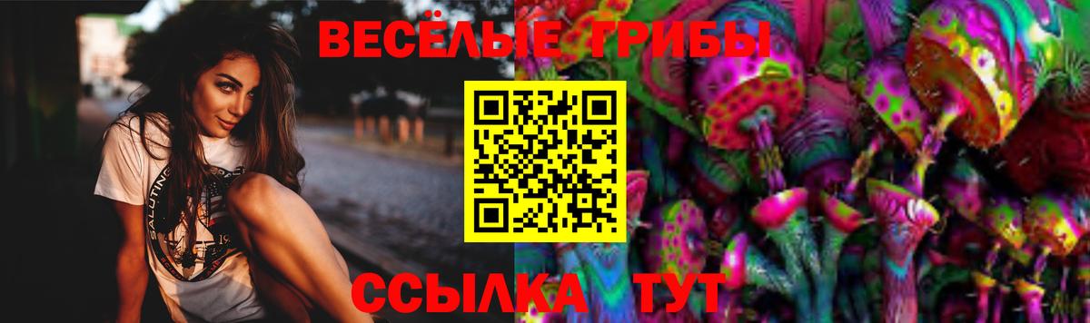 Галлюциногенные грибы Magic Shrooms Приморско-Ахтарск